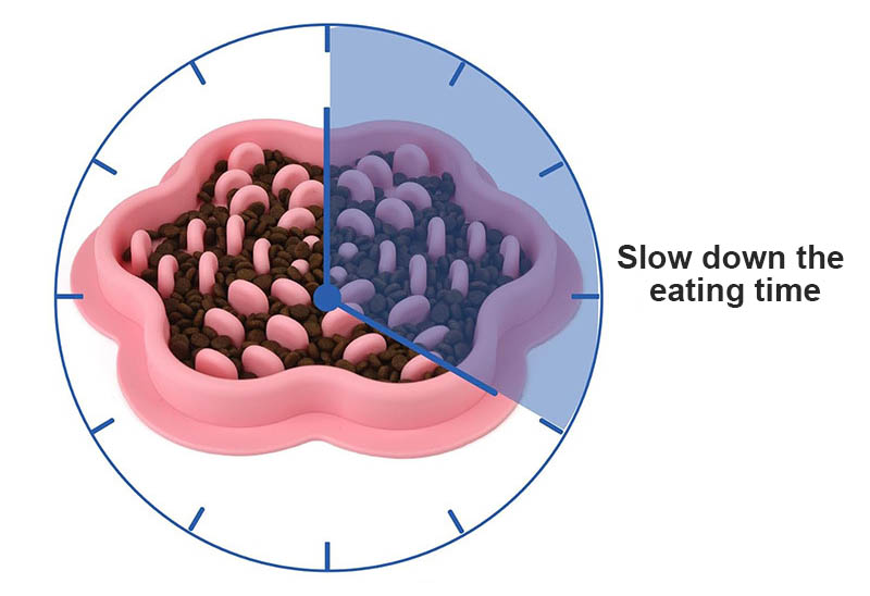 slow feeding dog bowl